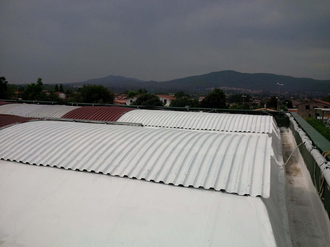 Dermacolor-Cool-Roof-2